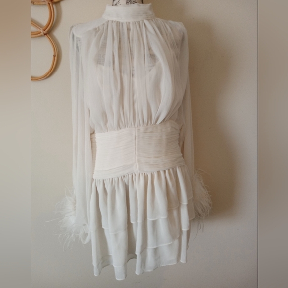 A Loves A Chiffon Feather Trim Ruched Mock Neck Long Sleeve Fit and Flare Dress - Picture 4 of 12